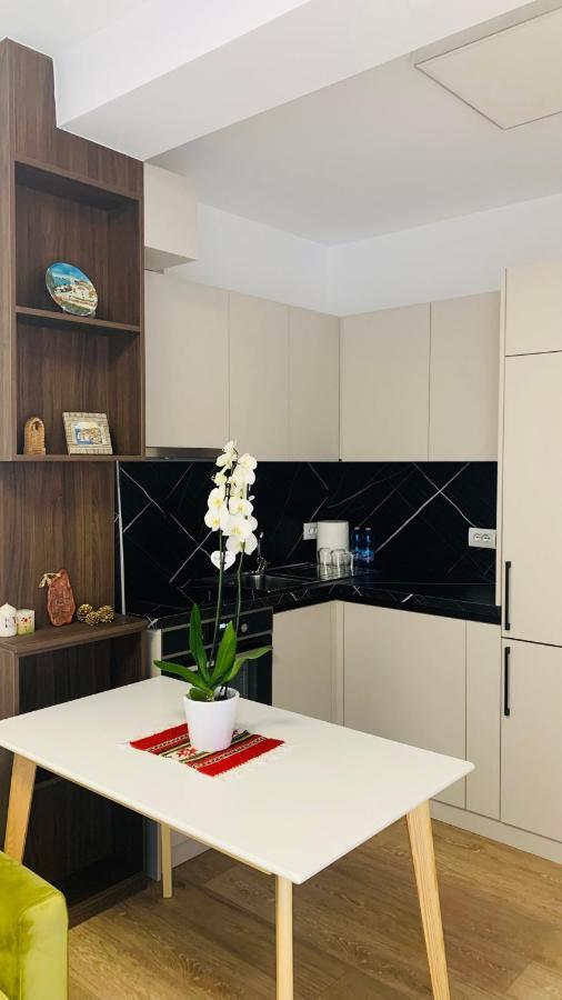 Proper Central Apartment تيرانا المظهر الخارجي الصورة